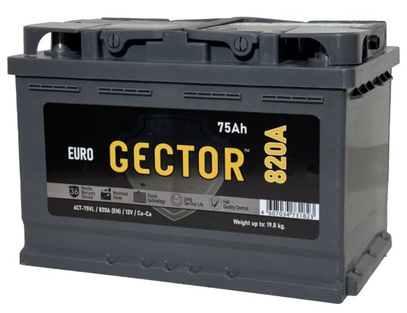 GECTOR 75 2